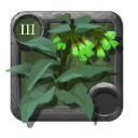 Albion Online Consoude feuille-vive