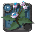 Albion Online T4 Chardon crénelé