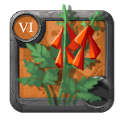 Albion Online T6 Digitale furtive