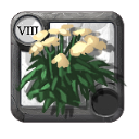 Albion Online Mille-feuille morbide